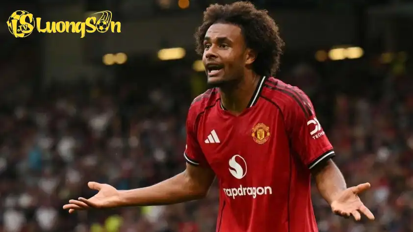 Người đại diện của Zirkzee bị chỉ trích khi chọn MU làm bến đỗ